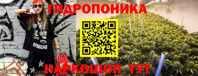 гидра Заволжье