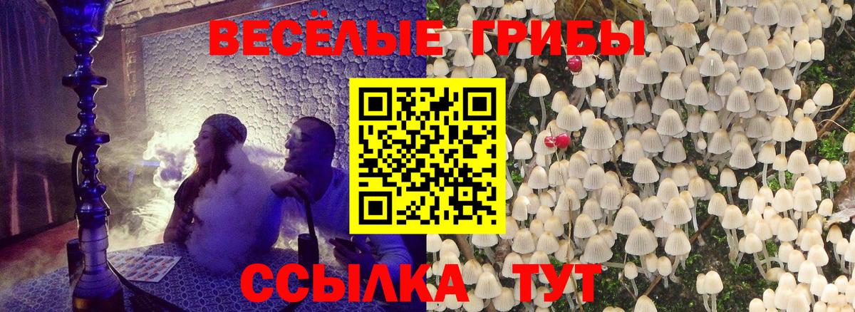 Псилоцибиновые грибы Psilocybine cubensis  Вход с VPN  Нефтекумск 